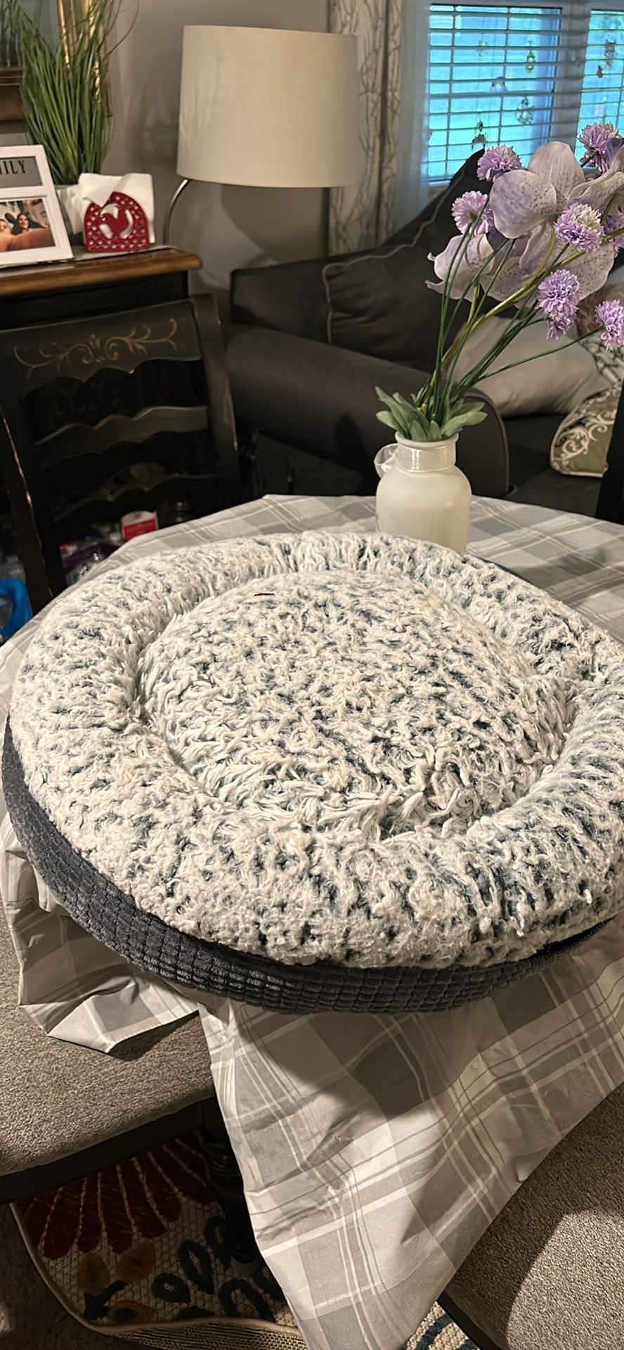 Dog Bed