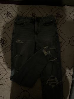 Curvy America Eagle Skinny Jeans  