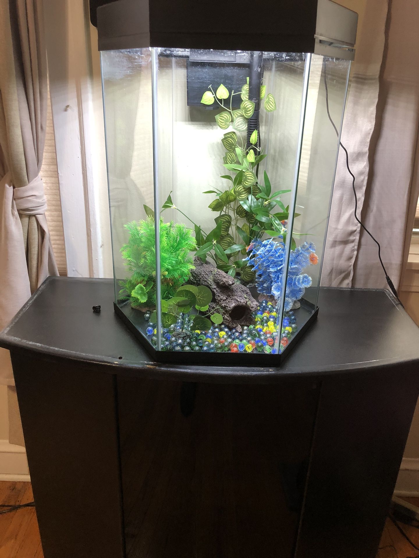 20 Glns Fish Tank