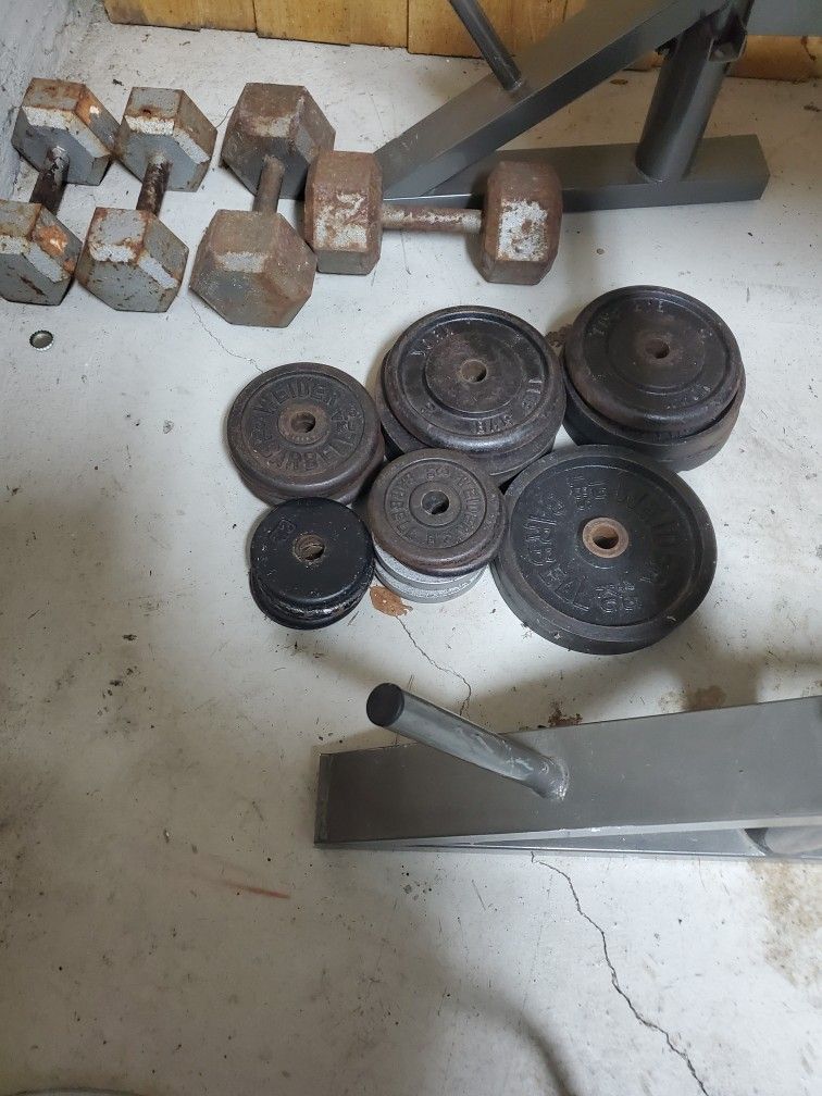 Weight Bench And Weights 