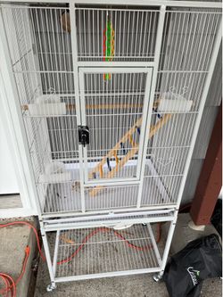 Parrot cage