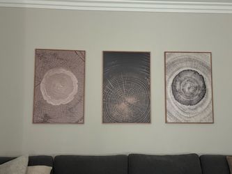 Set of 3 Tree Ring Framed Wall Art