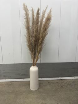 Vase with pampas about 3.5-4ft