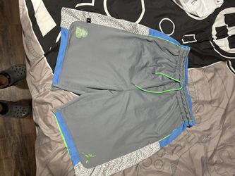 Extra Large Jordan Spike Lee Edition, Basketball Shorts