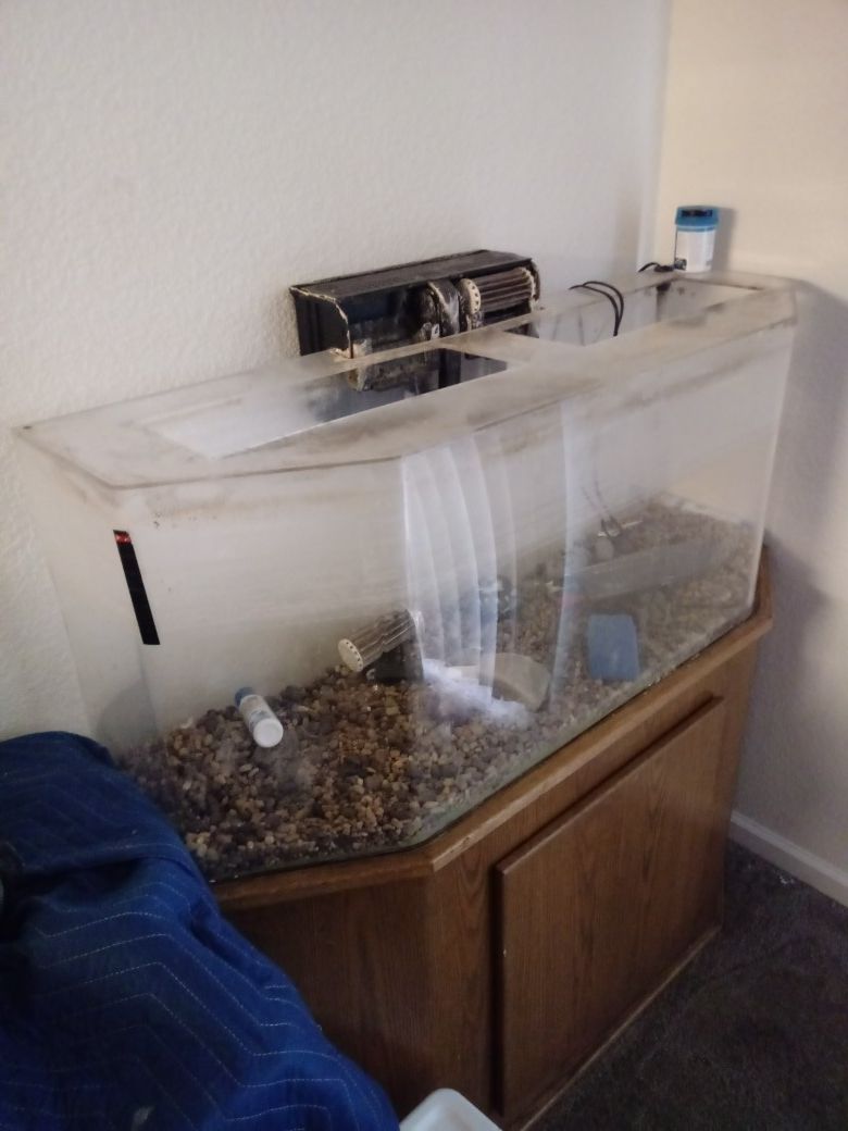 Fish tank.complete setup