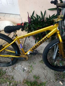 Beast Mode BMX Bike Gold Frame