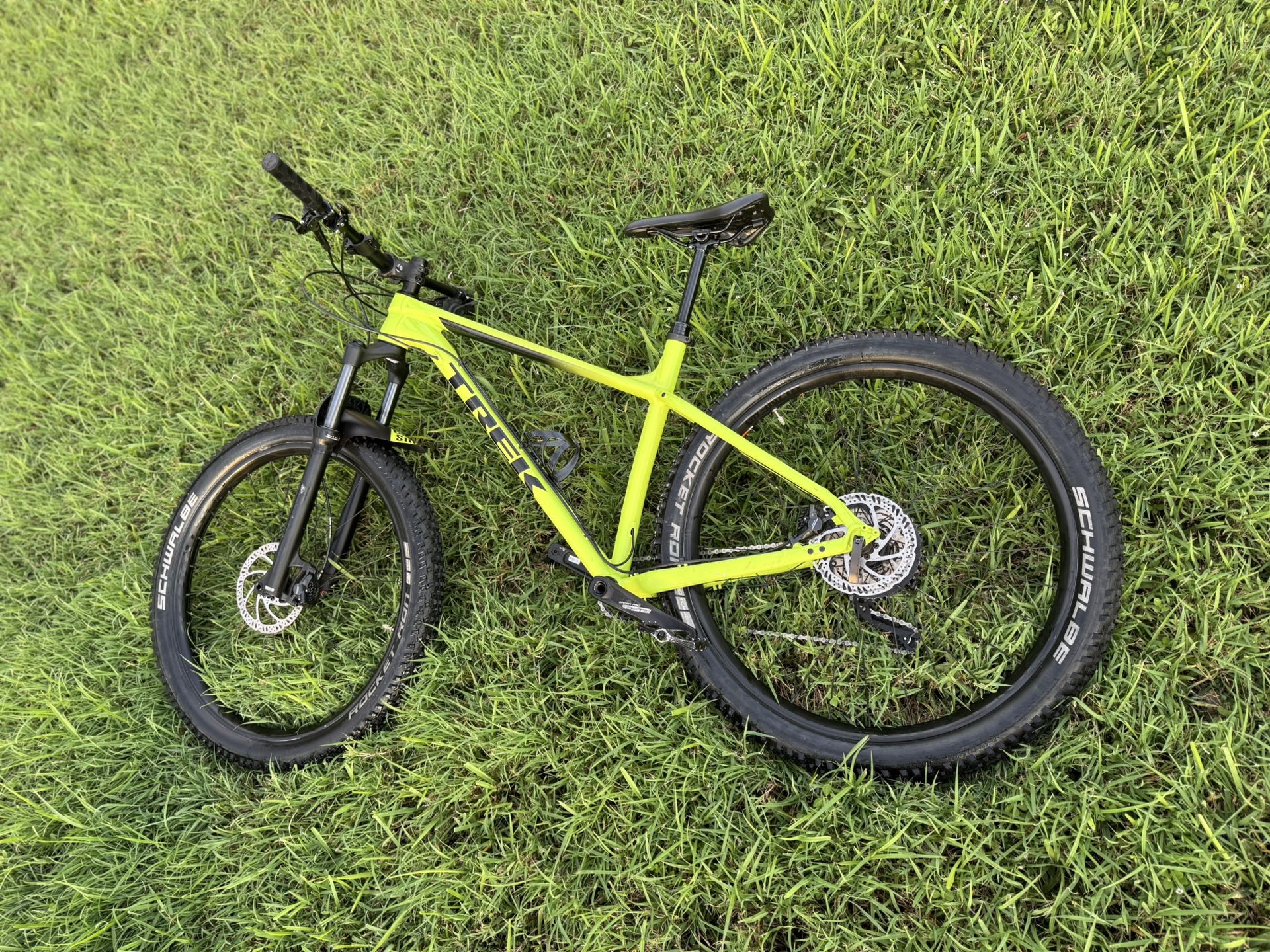 Roscoe 7, 2019