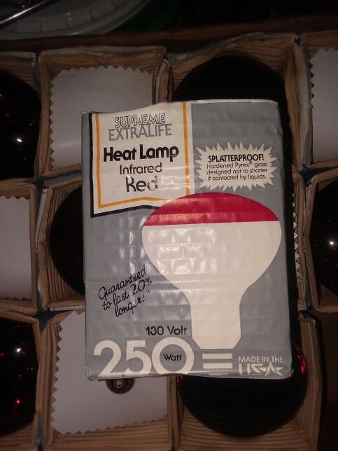 Heat Lamps/ Bulbs