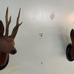 Set of European Vintage Roe Art , Deer Heads