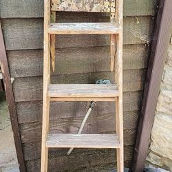 Old Ladder