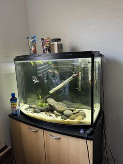 Fish Tank