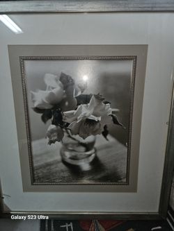 Pictures  Collectors 