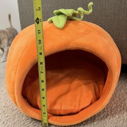 Martha Stewart Pets Halloween Pumpkin Dog Bed