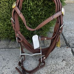 Western Bridle 