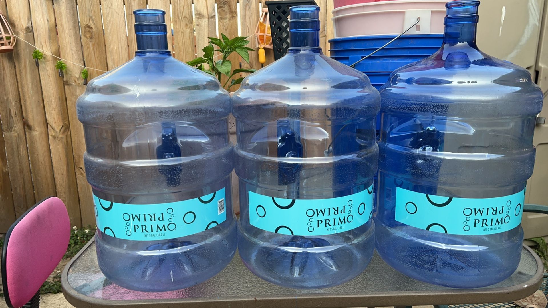 Primo 5 Gal Juggs