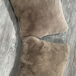 Two Brown Soft Couch Pillows