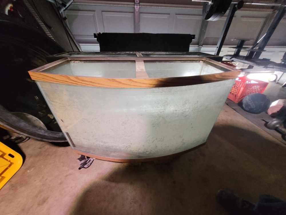 60 Gallon Curved Fish Tank 