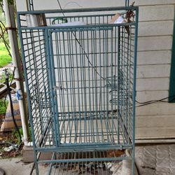 Bird Cages 