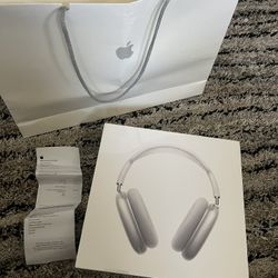 AirPod Max’s Silver 