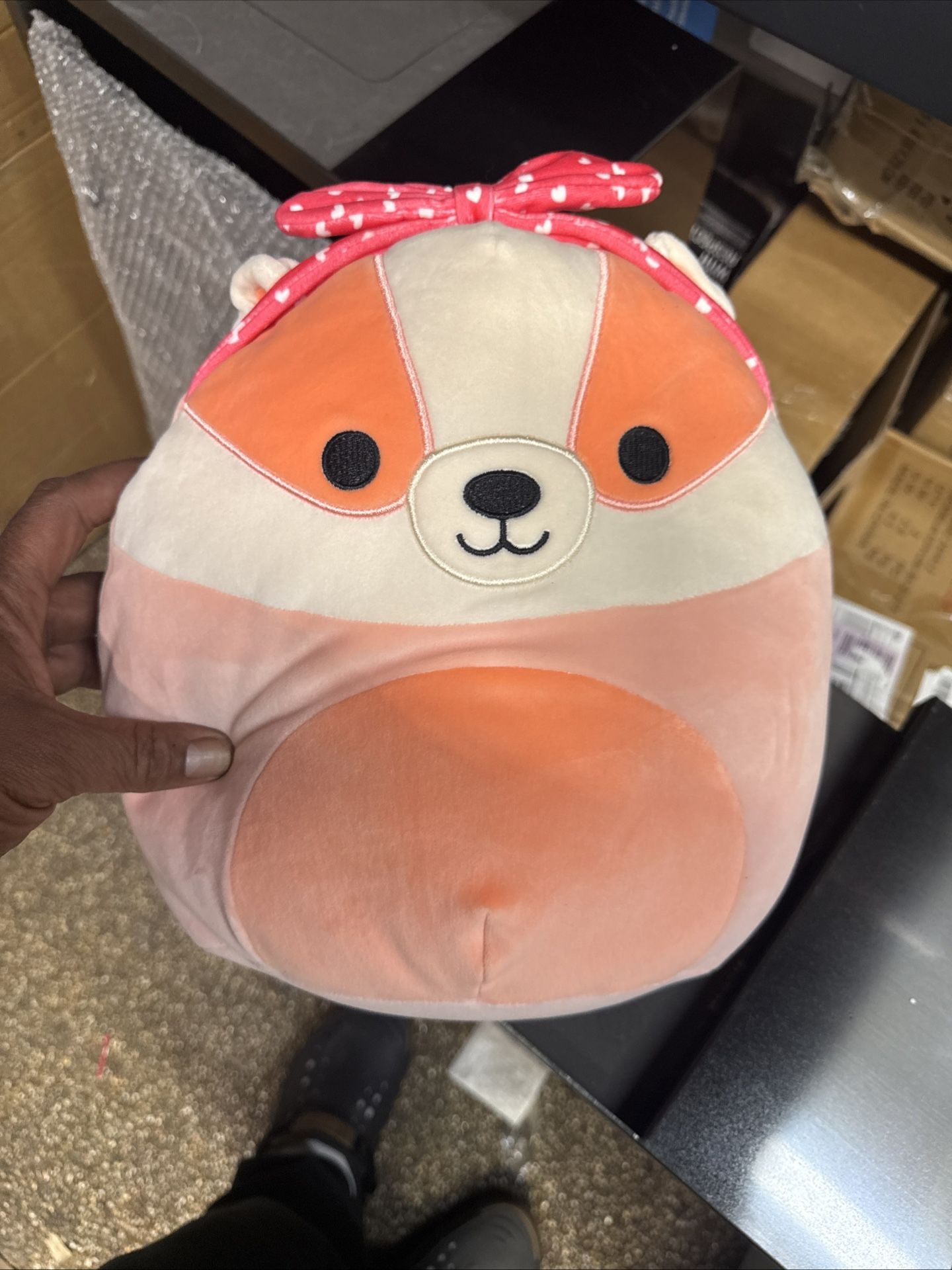 Squishmallow 8" Rostam the Badger Valentines Day 2025 NWT