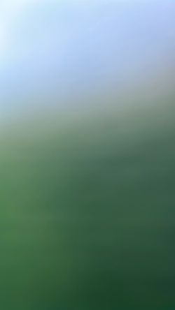 Looking for a photographer