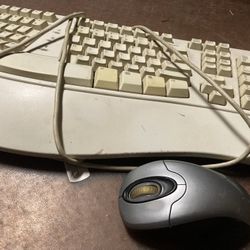 Economic keyboard with free mouse