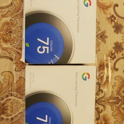 Google Nest Stainless Steel Nest Pro Edition