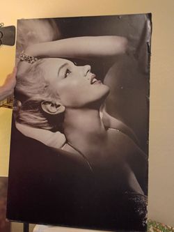 Marilyn monroe portraits