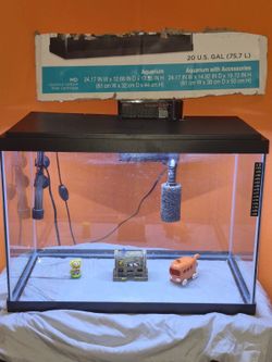 20 gallon fish tank