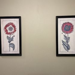 Framed Art 