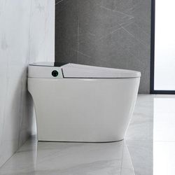 BCAN 1.28 GPF (Water Efficient) Elongated Bidet Toilet (Seat Included) in White