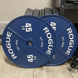 Rogue Calibrated Steel Plates 45 Lbs
