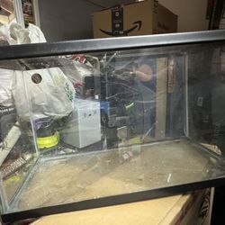10 Gallon Tank For Reptiles Or Fish 