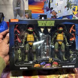 Teenage mutant ninja turtles