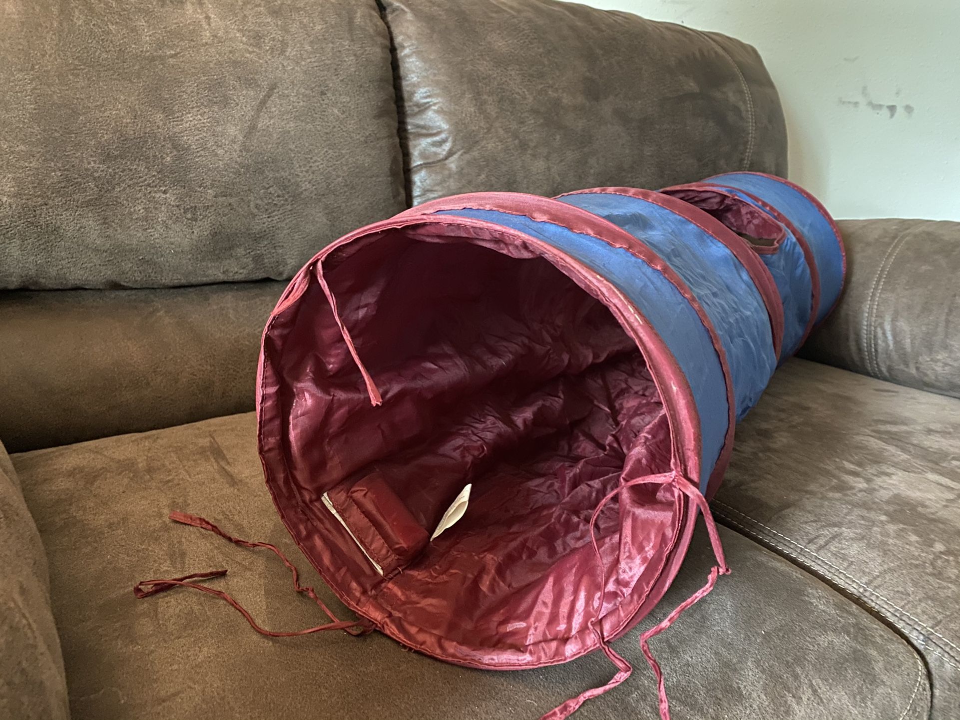 Cat Toy