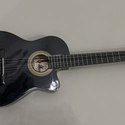 Palmer  Acoustic-Electric guitar