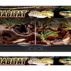 Naturalistic Terrarium