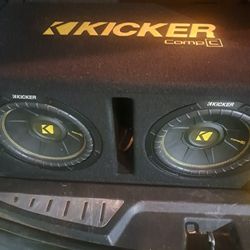 2 10inch Kickers 