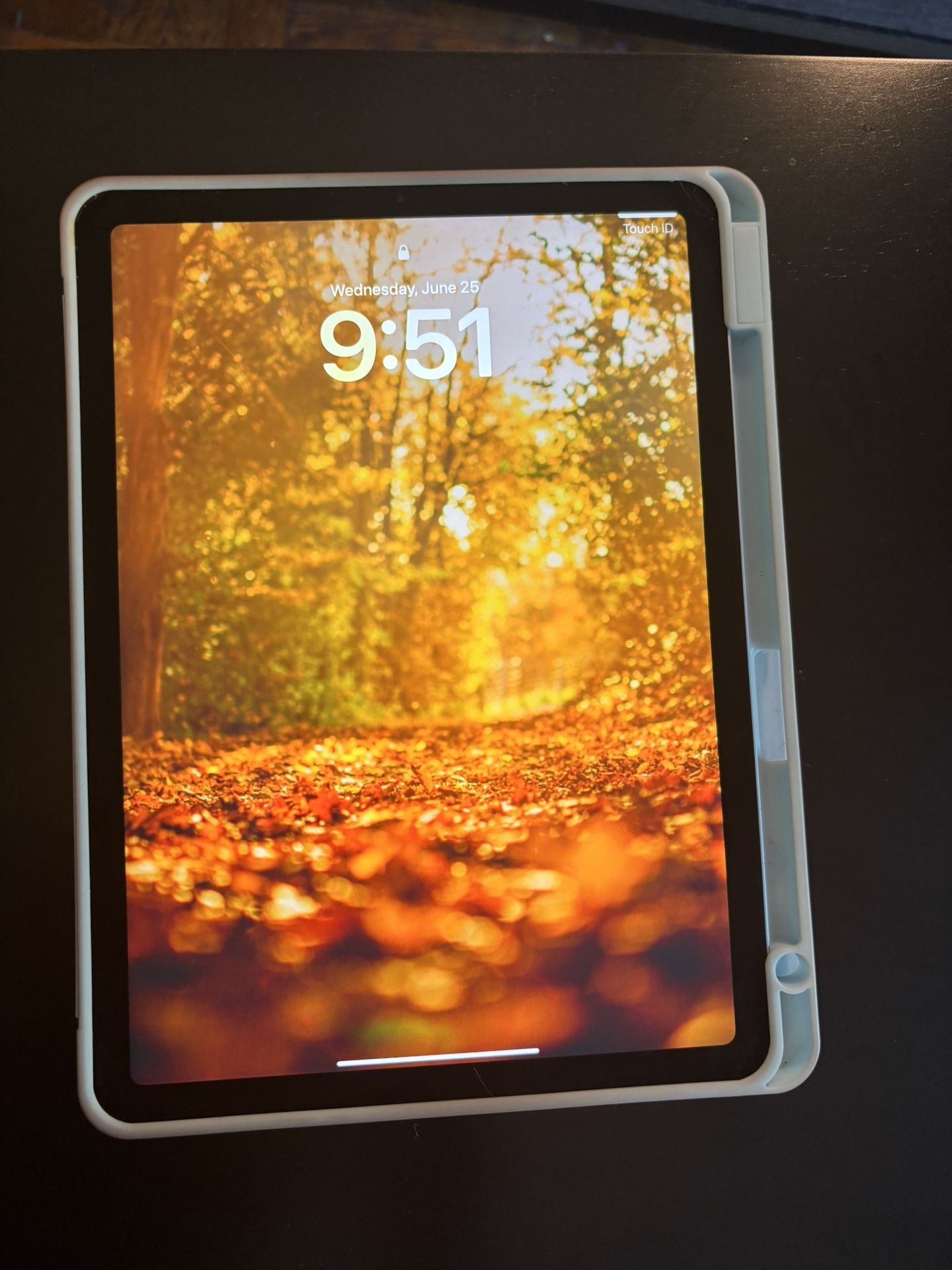 iPad Air 4th Gen 64 gig