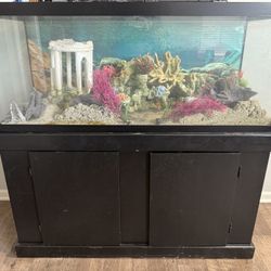 75 Gallon Fish Tank With Stand