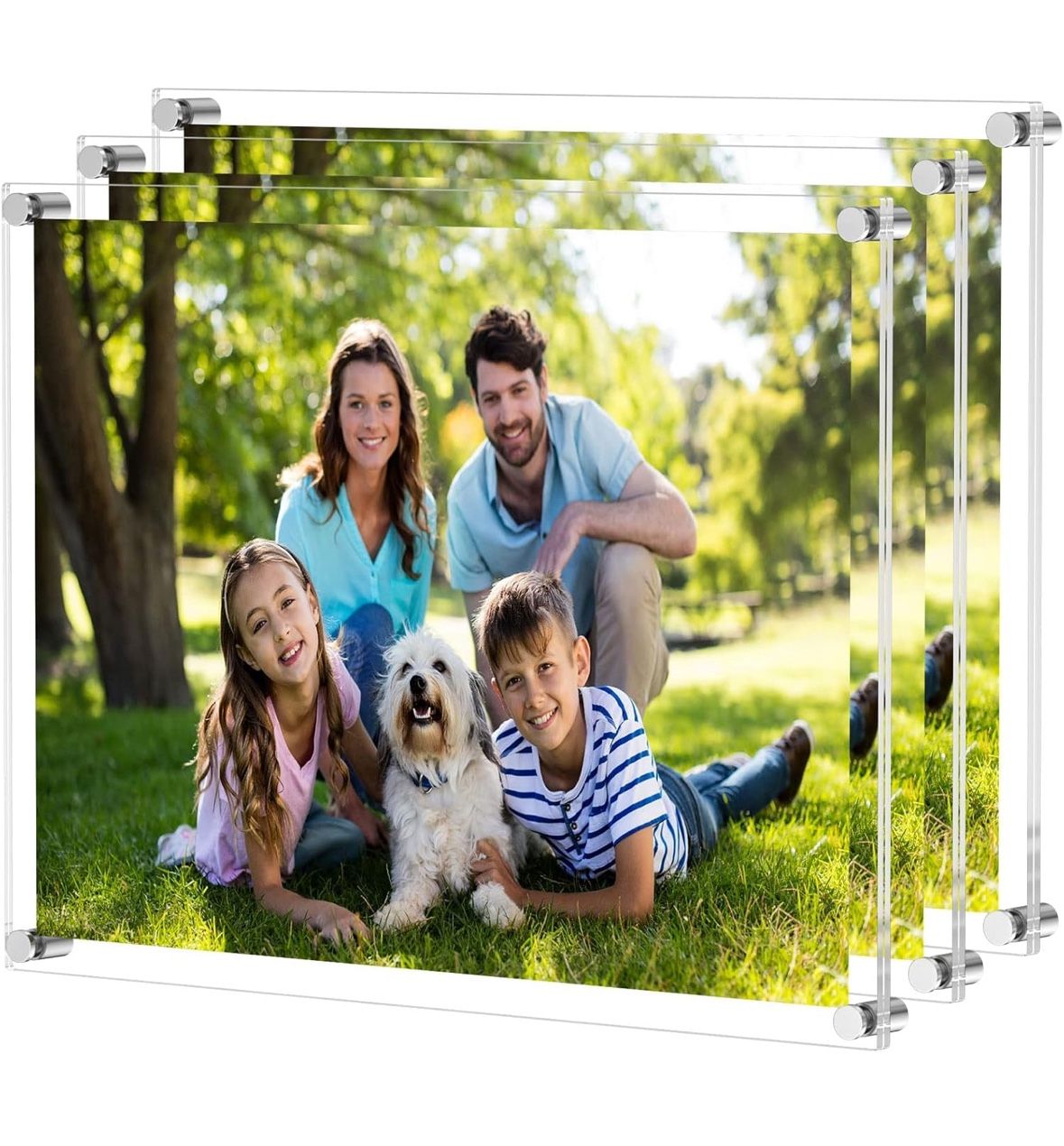 NIUBEE Clear Acrylic Wall Mount Floating Frameless