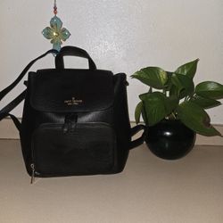 Kate Spade Backpack 