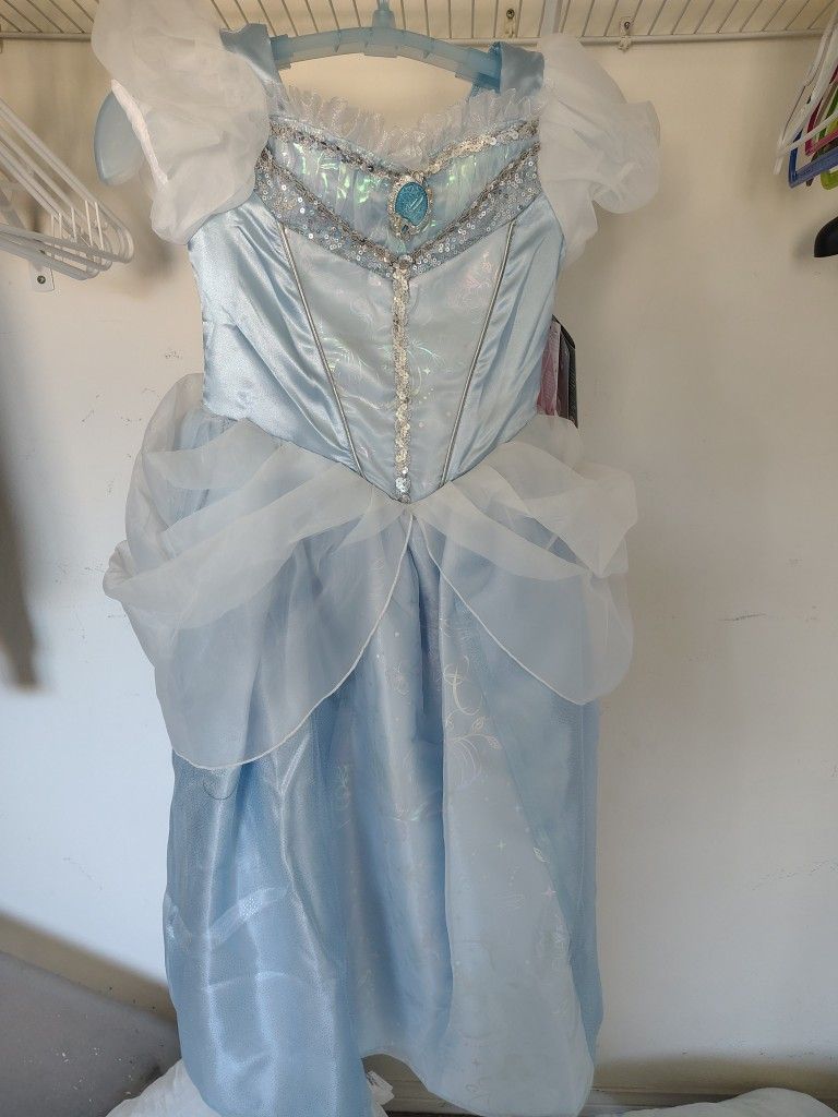 Cinderella Costume From Disney Store