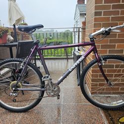 Vintage 26" UNIVEGA Mountain Bike