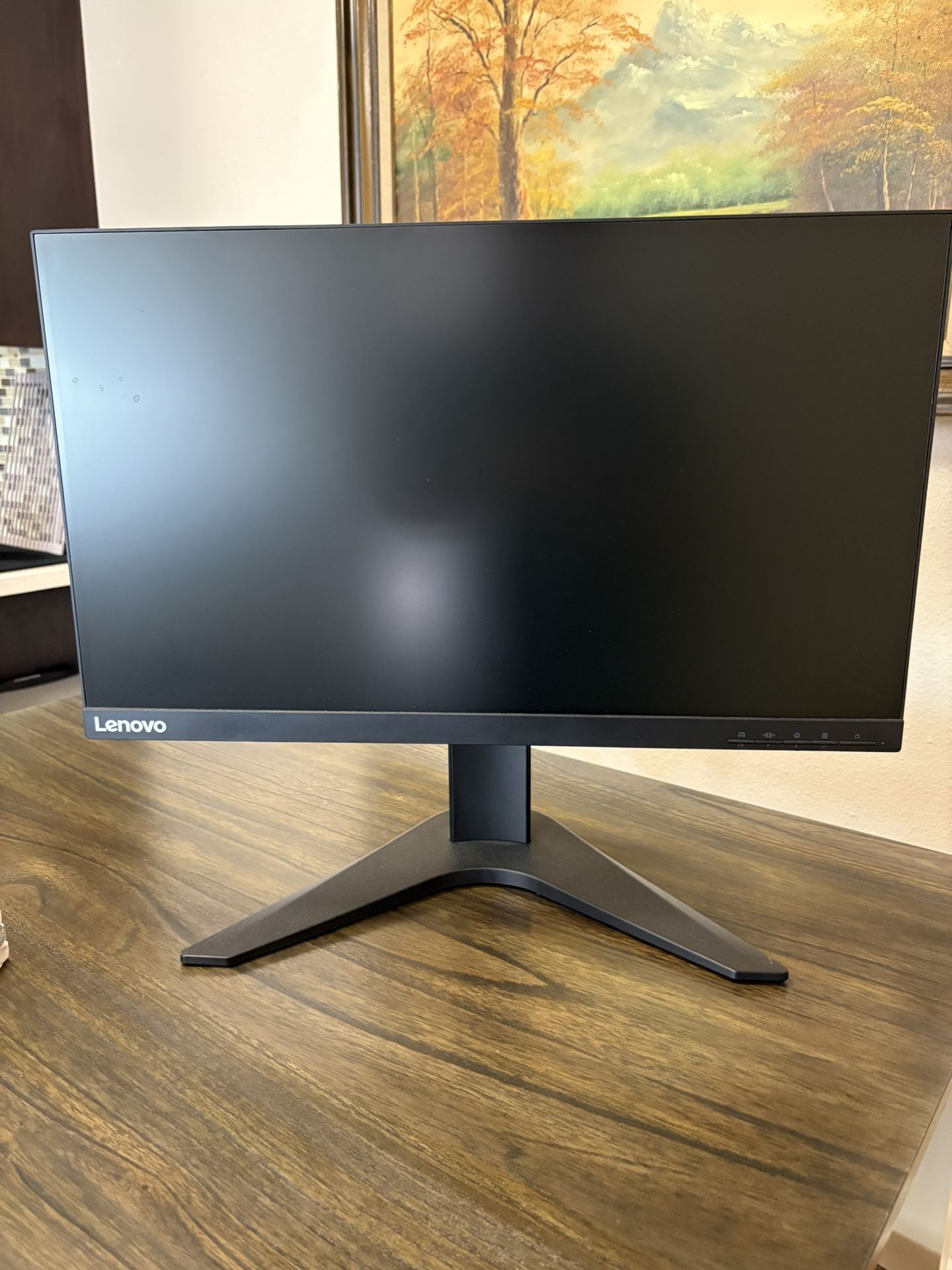 Lenovo G25-10 24” Gaming Monitor