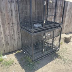 dog kennel