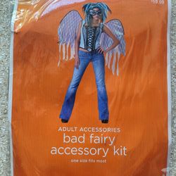 Halloween Costume - Bad Fairy 