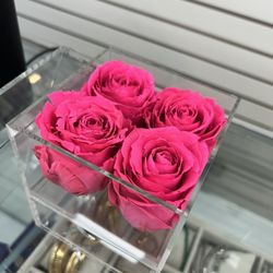 Roses Preserve For Valentines 