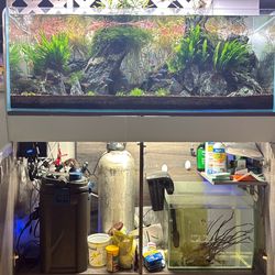 Fish tank