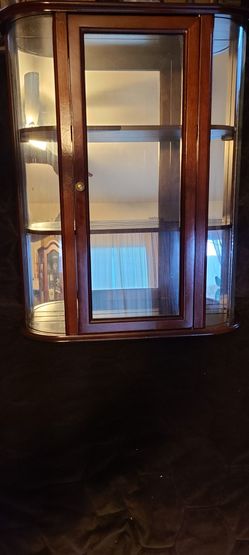 Curio Display